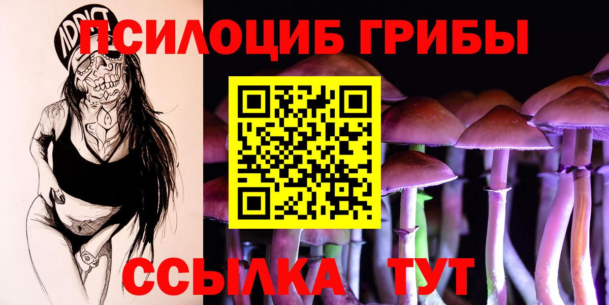 Электросталь  Галлюциногенные грибы GOLDEN TEACHER  Вход с VPN 
